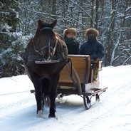 Organizacja kuligów i wypadów bryczką