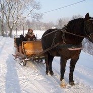 Organizacja kuligów i wypadów bryczką