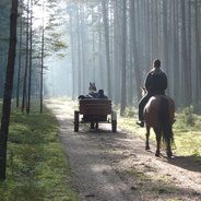 Organizacja kuligów i wypadów bryczką